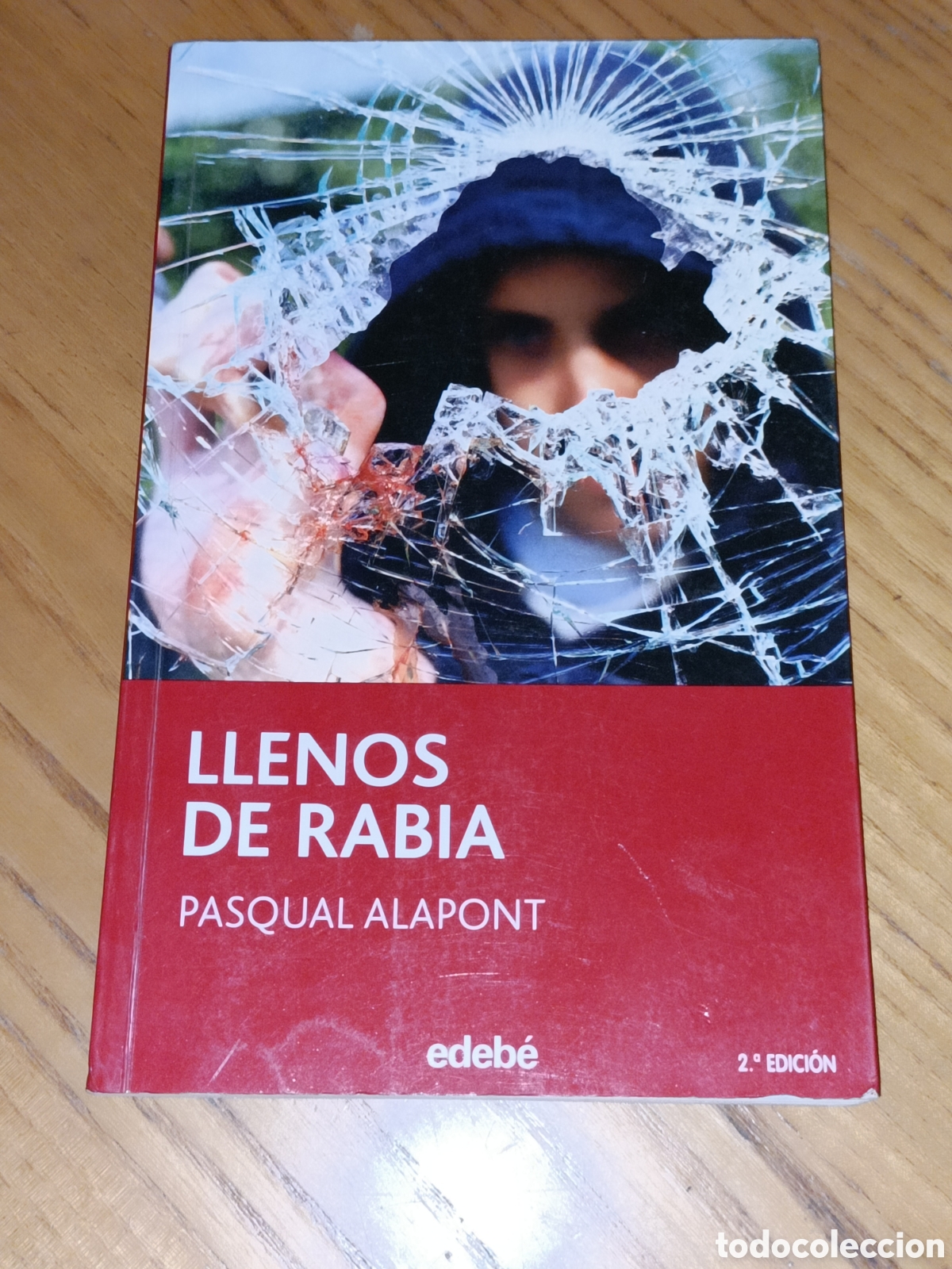 Libros de segunda mano: Llenos de rabia. Pasqual Alapont. Edebe - Foto 1