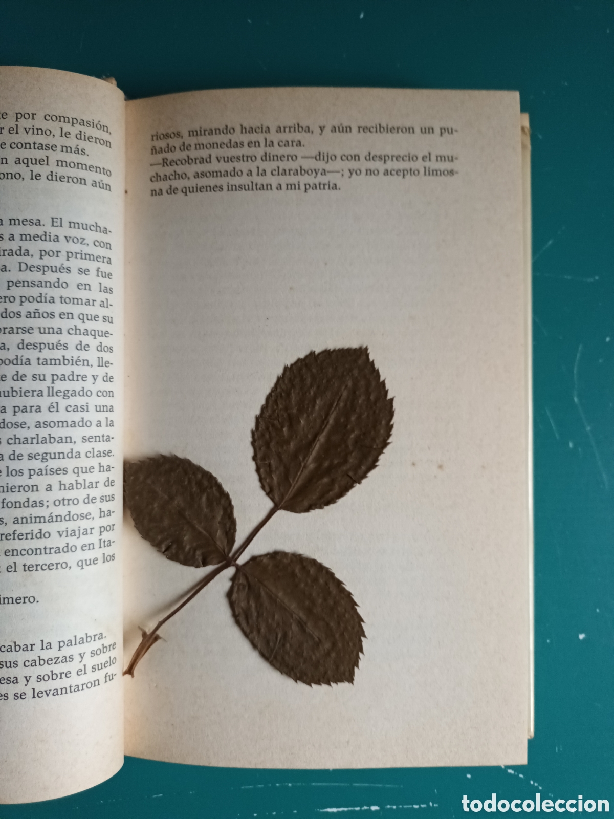 Libros de segunda mano: Edmundo De Amicis - Coraz&oacute;n. 1969. C&iacute;rculo de Lectores - Foto 8