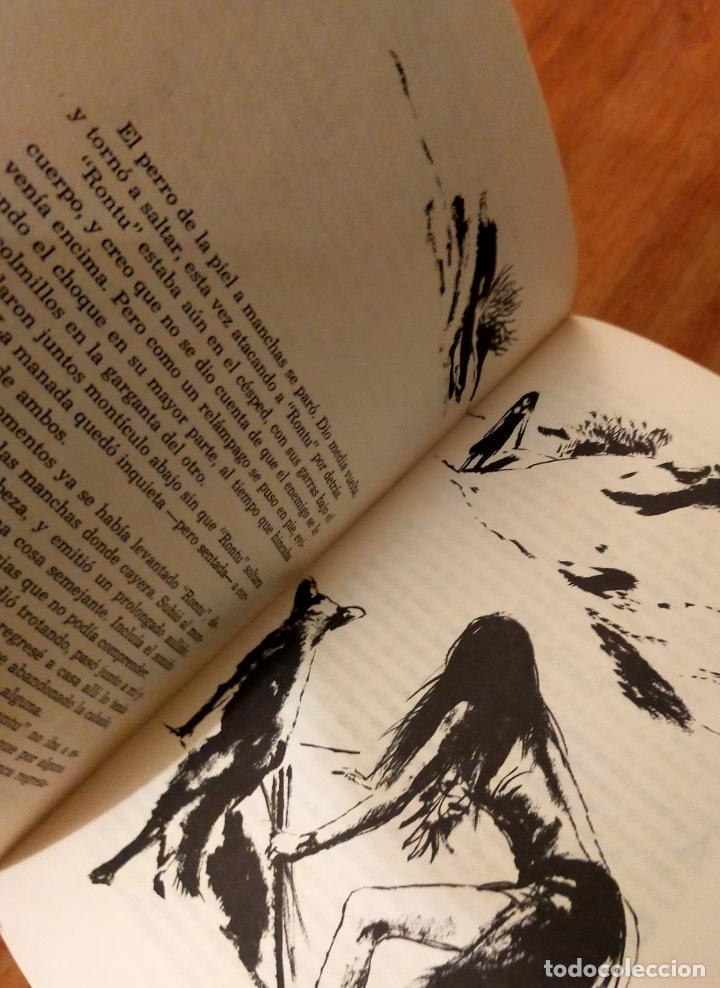 Libros de segunda mano: LA ISLA DE LOS DELFINES AZULES - O&acute;Dell,Scott - Foto 6