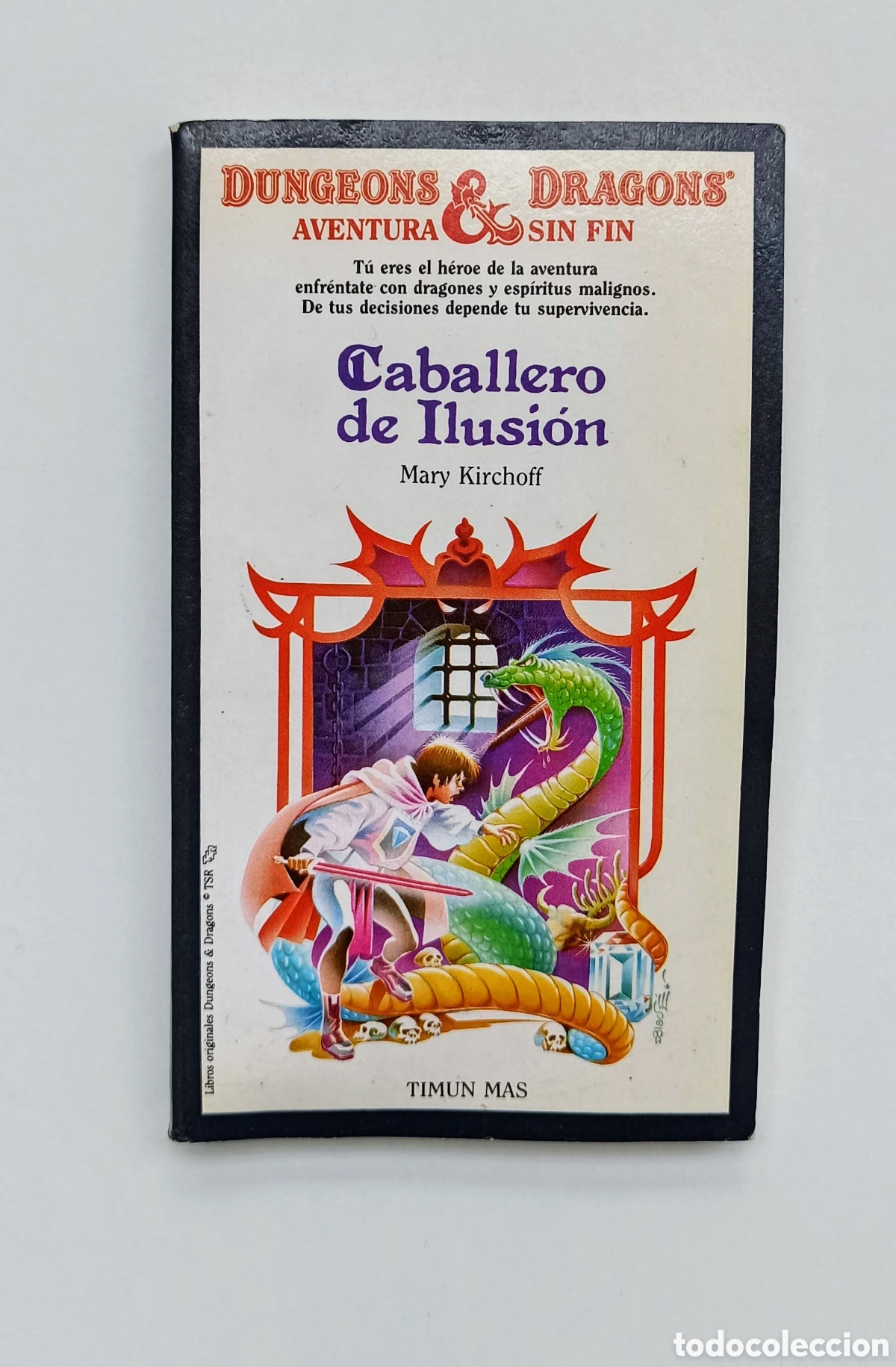 LIBRO DUNGEONS & DRAGONS CABALLERO DE ILUSION
