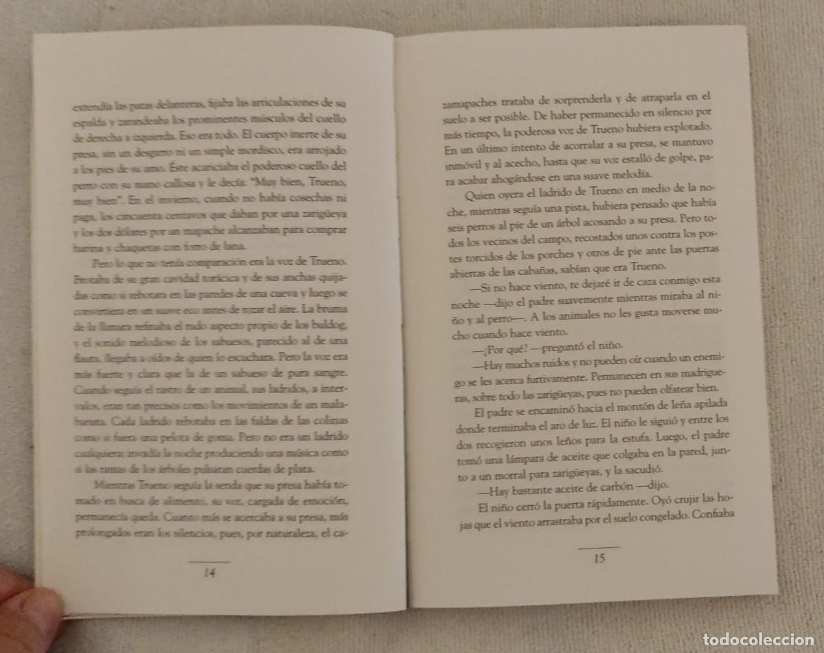 Libros de segunda mano: TRUENO. - Foto 5