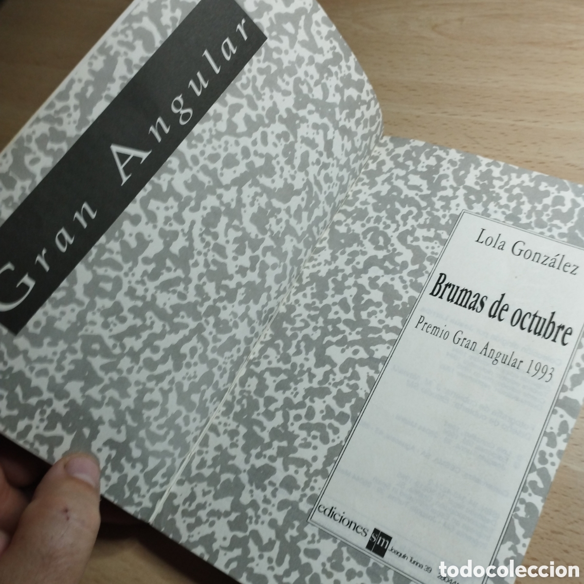 Libros de segunda mano: Brumas de Octubre. Lola Gonz&aacute;lez. Gran Angular.ediciones SM. - Foto 4