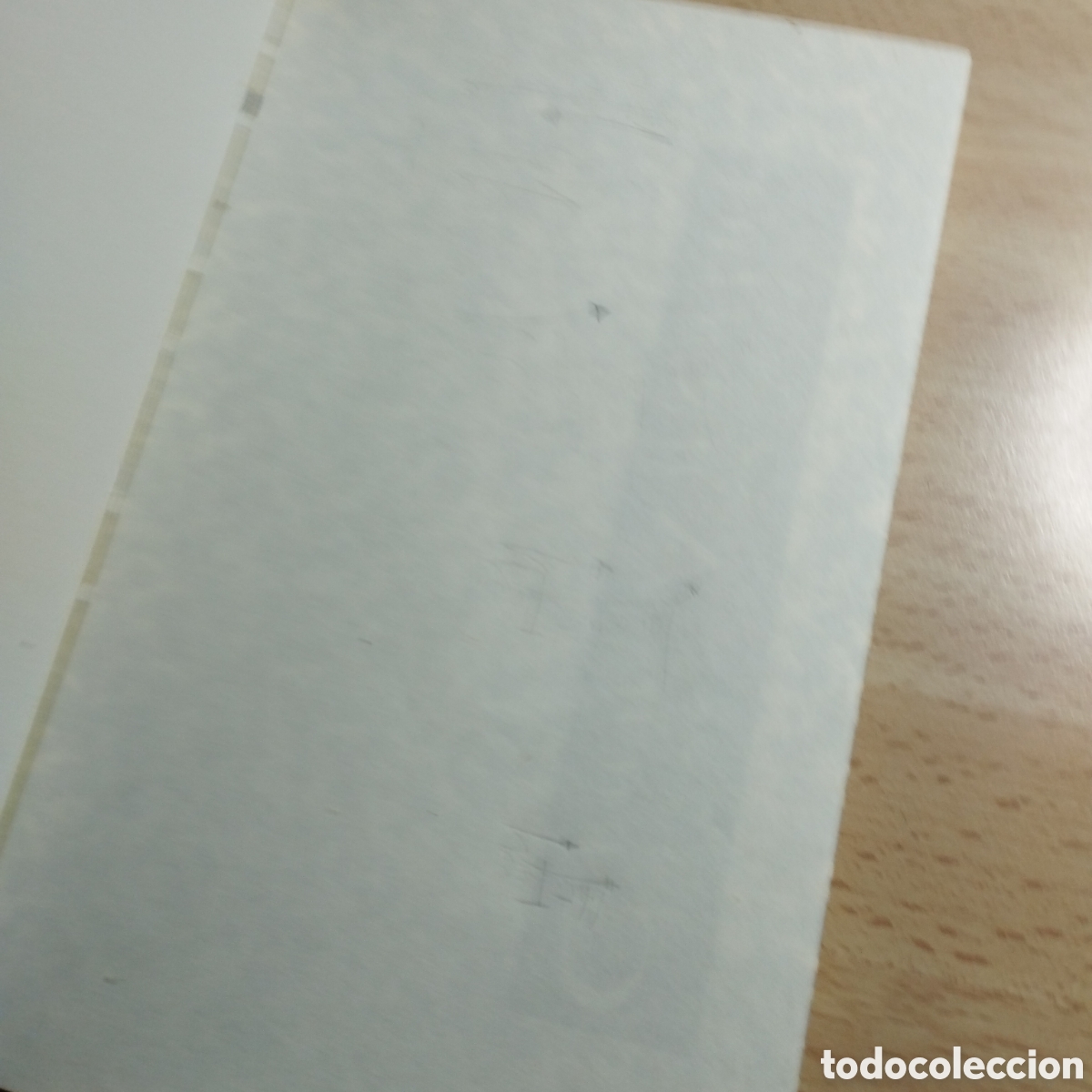 Libros de segunda mano: Cruzada en Jeans. Thea Beckman. Gran angular.ediciones SM. - Foto 4