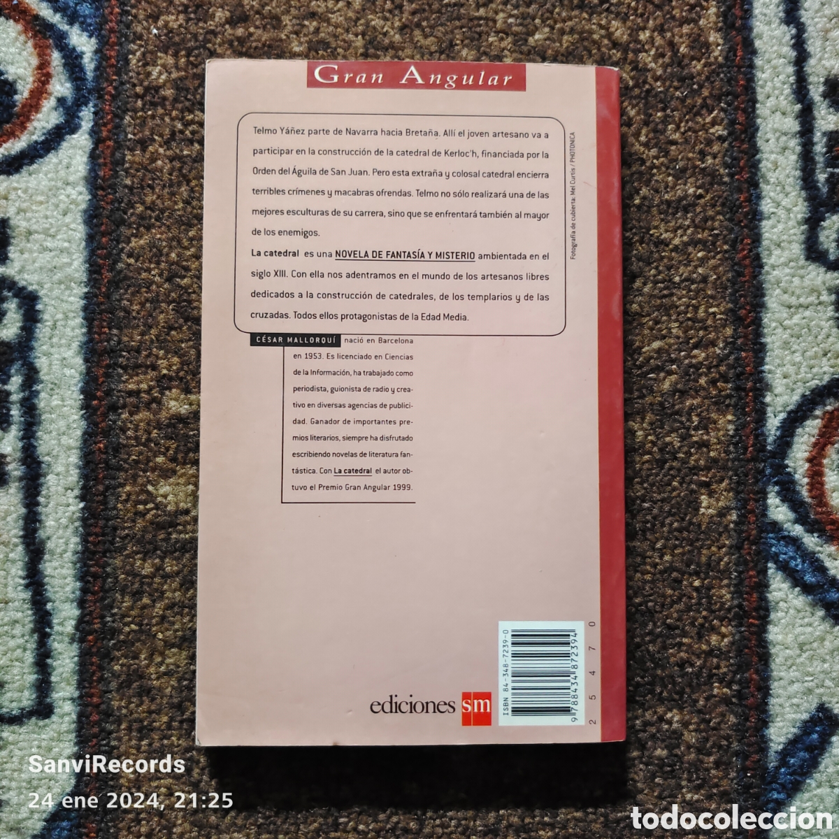 Libros de segunda mano: LA CATEDRAL (C&Eacute;SAR MALLORQU&Iacute;) (SM, GRAN ANGULAR) - Foto 2