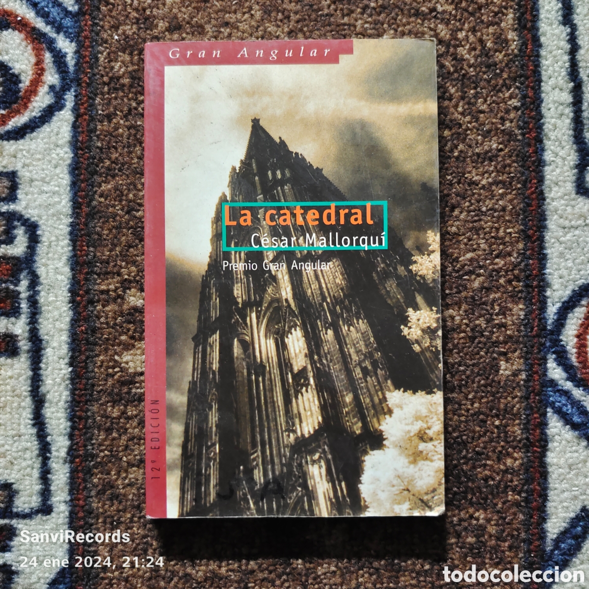 Libros de segunda mano: LA CATEDRAL (C&Eacute;SAR MALLORQU&Iacute;) (SM, GRAN ANGULAR) - Foto 1