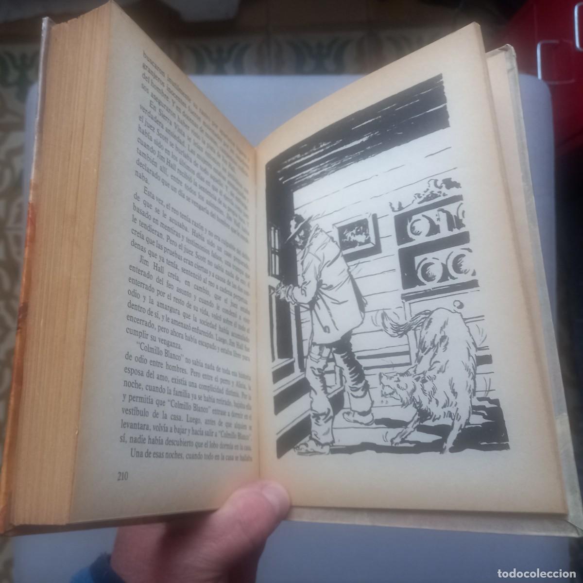 Libros de segunda mano: COLMILLO BLANCO - JACK LONDON - Foto 2