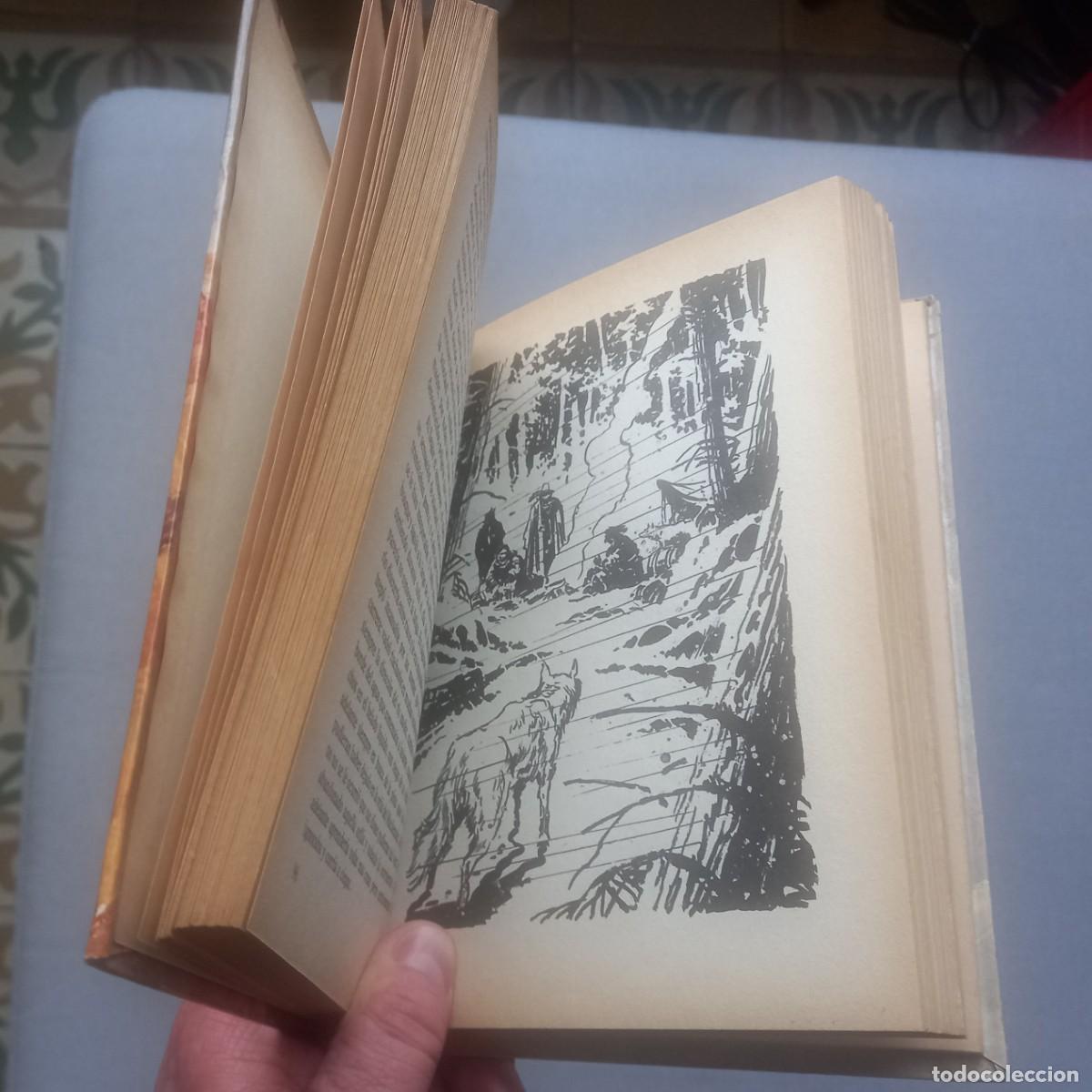 Libros de segunda mano: COLMILLO BLANCO - JACK LONDON - Foto 3