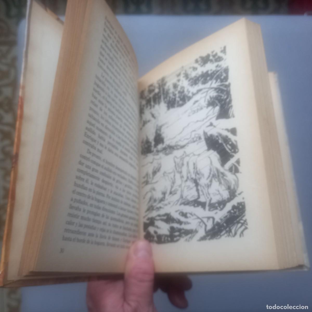 Libros de segunda mano: COLMILLO BLANCO - JACK LONDON - Foto 4