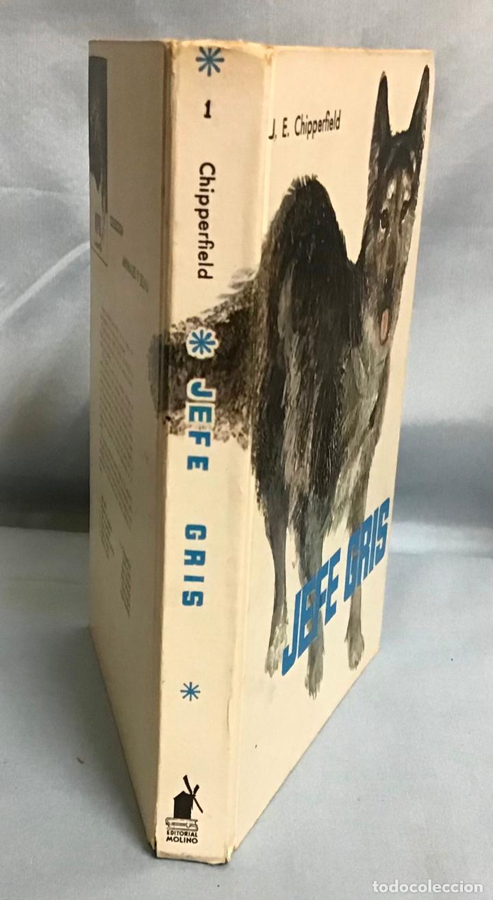 Libros de segunda mano: JEFE GRIS, J. E. CHIPPERFIELD - Foto 2
