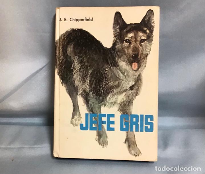 Libros de segunda mano: JEFE GRIS, J. E. CHIPPERFIELD - Foto 1