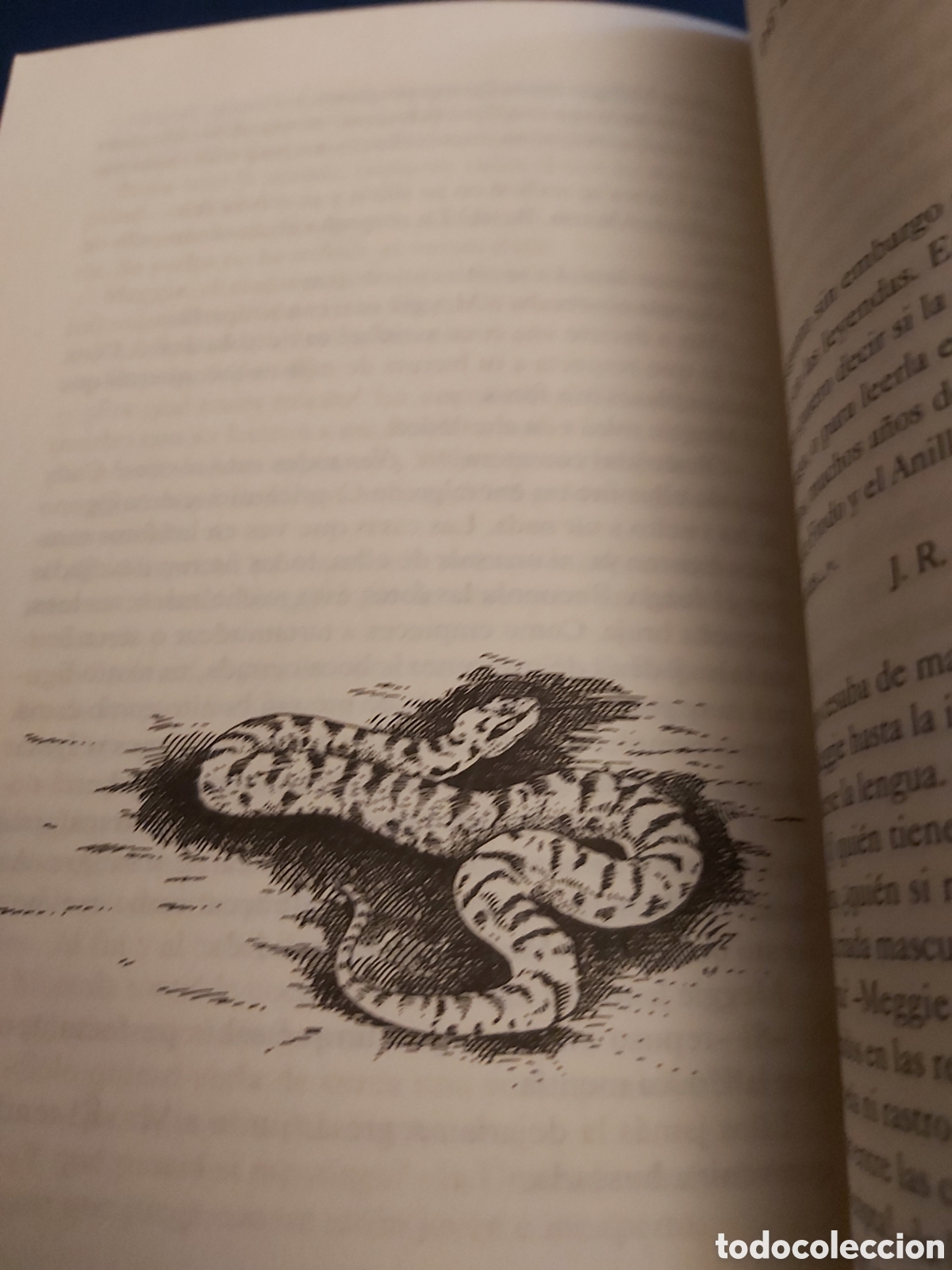 Libros de segunda mano: CORAZ&Oacute;N DE TINTA $ CORNELIA FUNKE $ SIRUELA $ 2012 - Foto 9