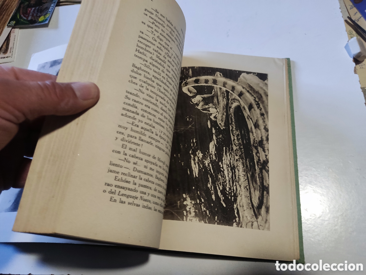 Libros de segunda mano: Libro El libro de la selva de Rudyard KIPLING 1964 - Foto 7