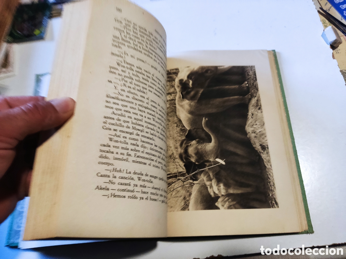 Libros de segunda mano: Libro El libro de la selva de Rudyard KIPLING 1964 - Foto 9