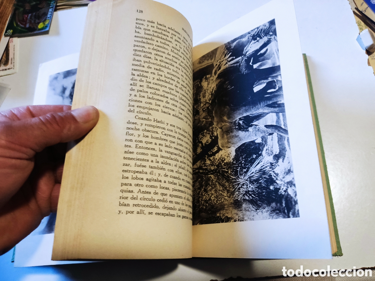 Libros de segunda mano: Libro El libro de la selva de Rudyard KIPLING 1964 - Foto 10