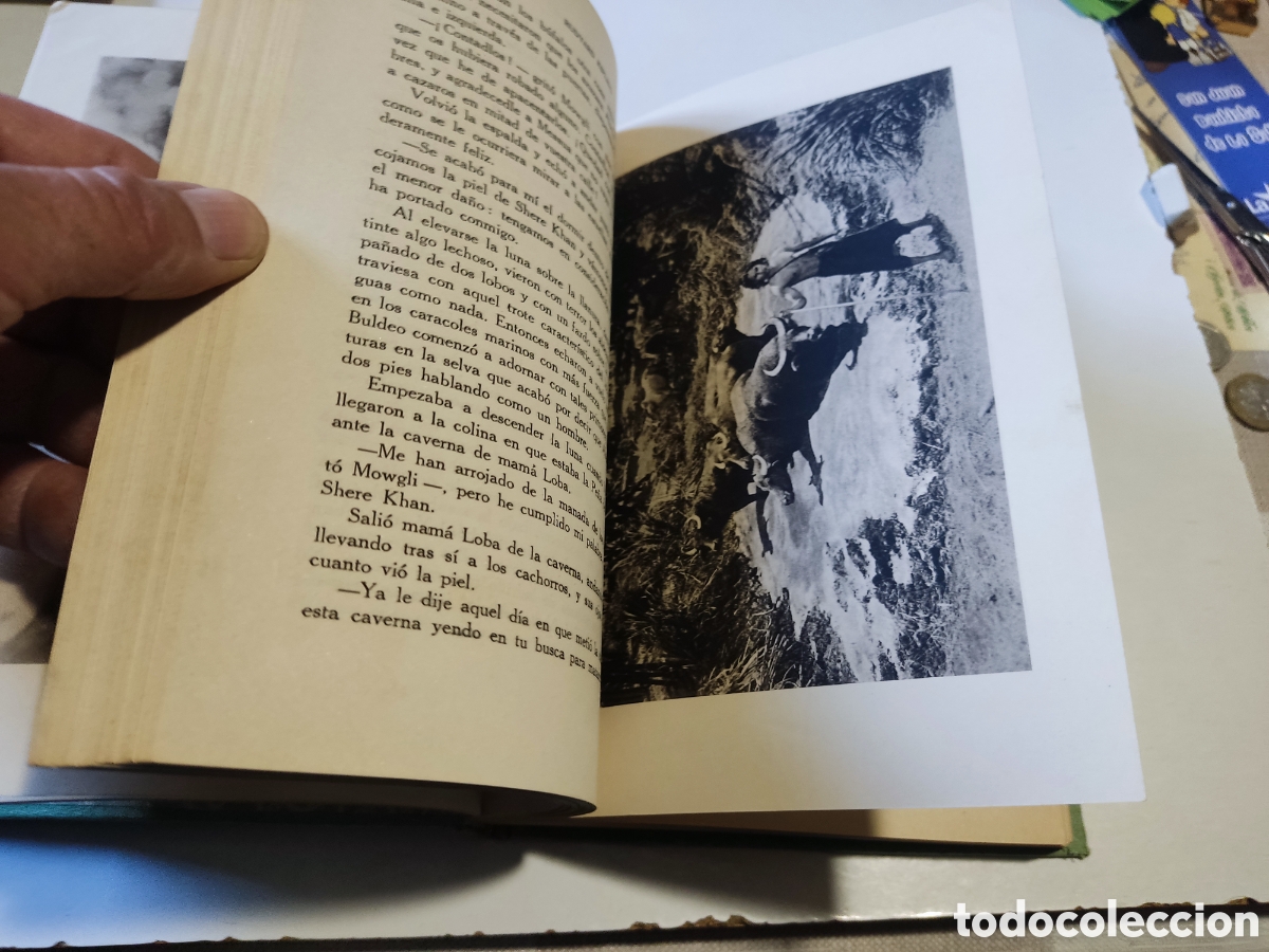 Libros de segunda mano: Libro El libro de la selva de Rudyard KIPLING 1964 - Foto 12