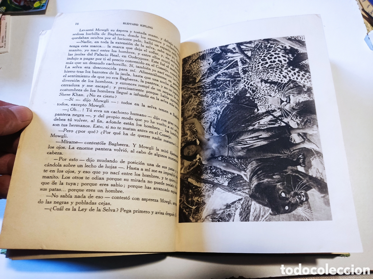 Libros de segunda mano: Libro El libro de la selva de Rudyard KIPLING 1964 - Foto 13