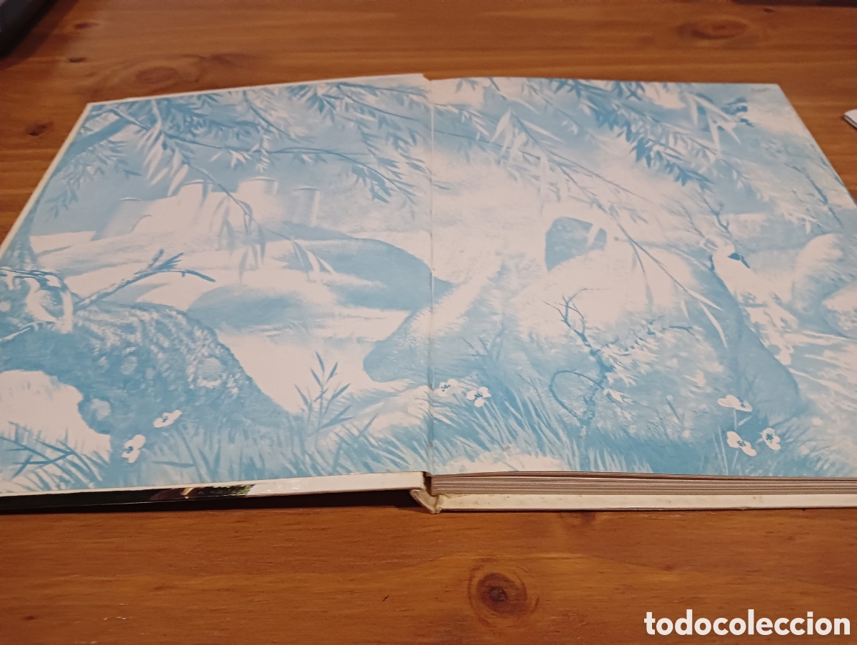 Libros de segunda mano: Heidi. - Foto 2