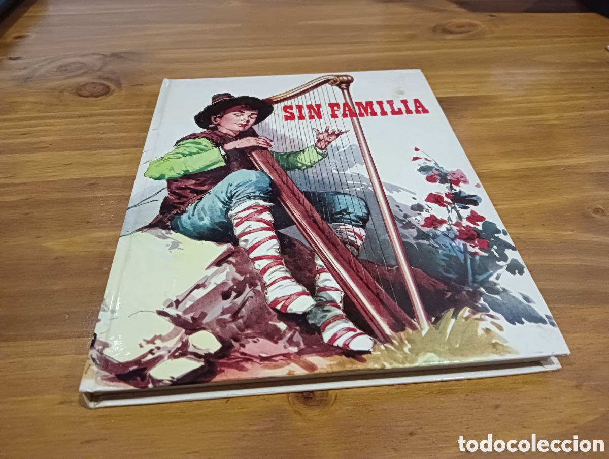 Libros de segunda mano: Sin Familia. - Foto 1