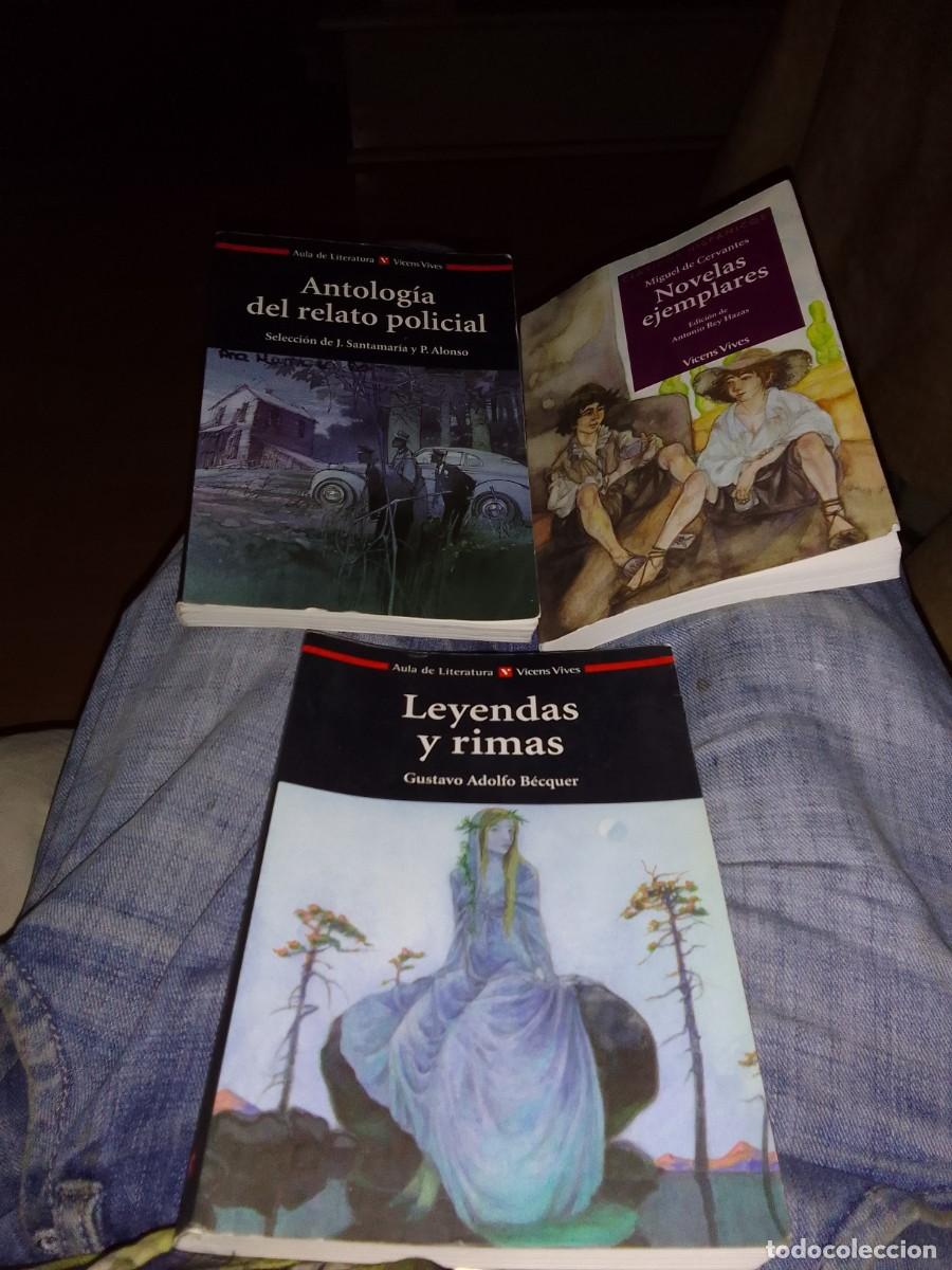 Gebrauchte B&uuml;cher: LOTE COLECCI&Oacute;N AULA DE LITERATURA VICENS VIVES