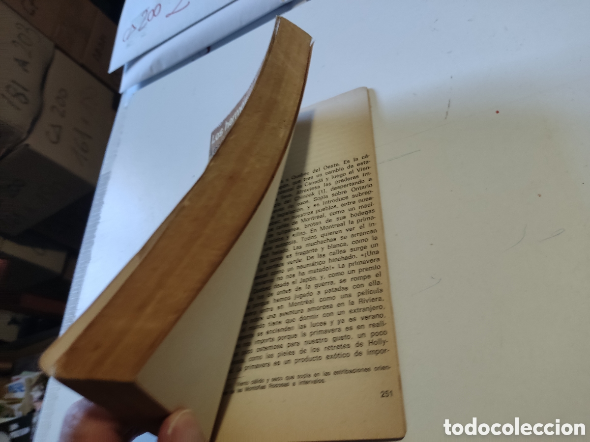Libros de segunda mano: Libro los hermanos vencidos de leonard cohen - Foto 4