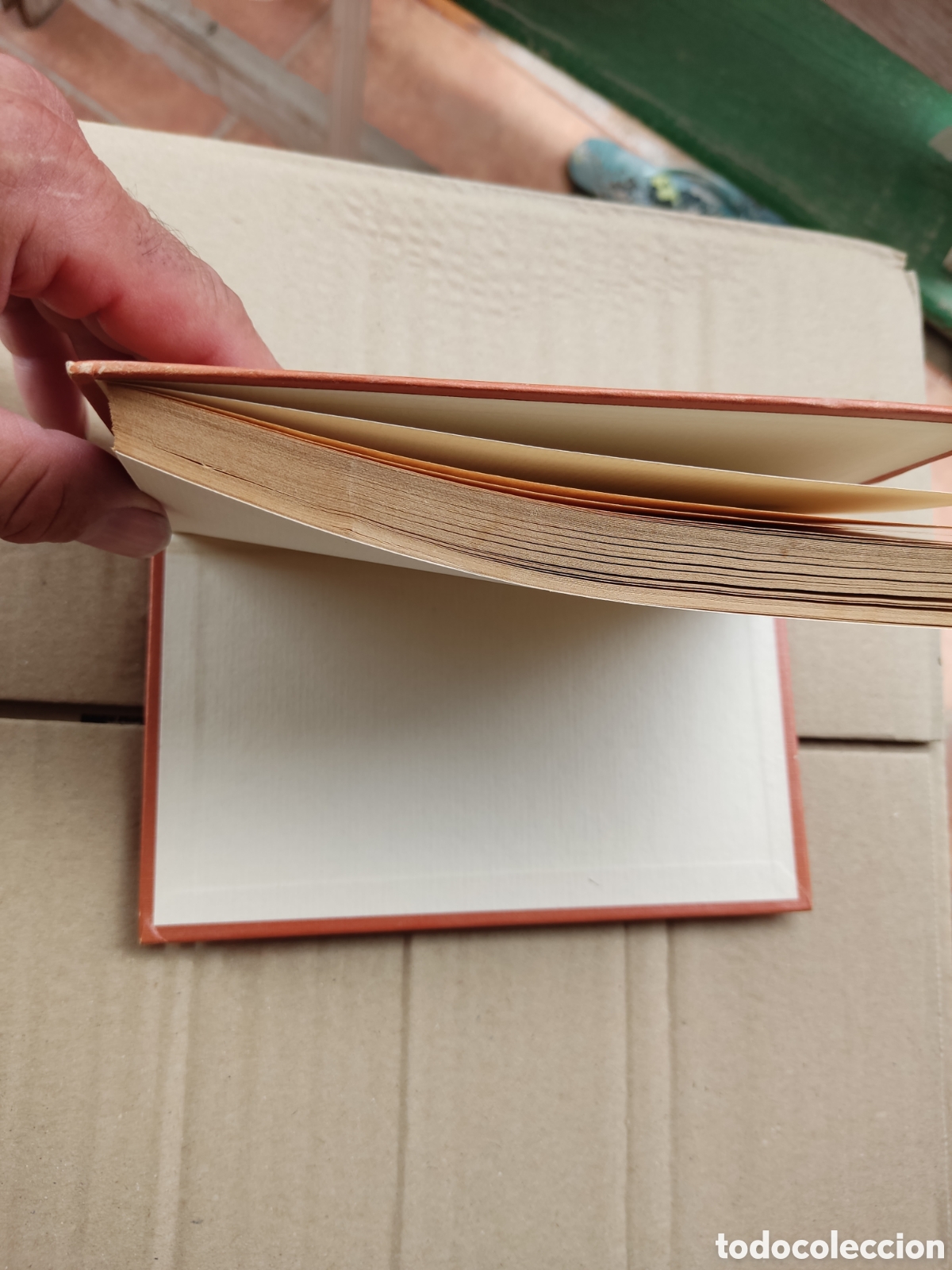 Libros de segunda mano: Libro el archivo de Egipto de Leonardo Sciascia - Foto 3