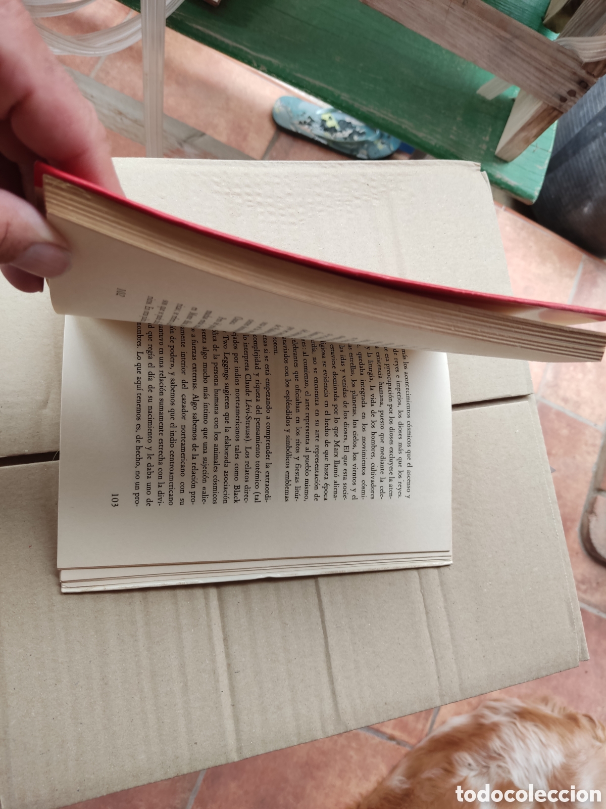 Libros de segunda mano: Libro ishi de Thomas Merton - Foto 3