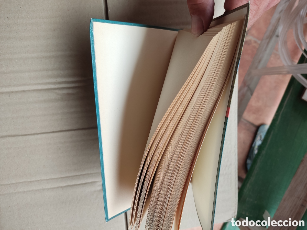 Libros de segunda mano: Libro m&iacute; coraz&oacute;n que baila con espigas de Carmen Rigalt - Foto 3