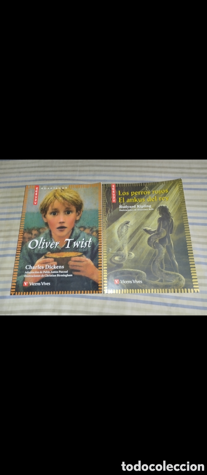 Libros de segunda mano: Libros juveniles:Charles Dickens y Rudyard Kipling. - Foto 1