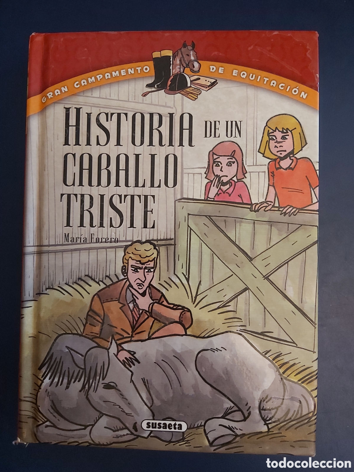 Gebrauchte B&uuml;cher: HISTORIA DE UN CABALLO TRISTE # MAR&Iacute;A FORERO ILUSTRACIONES ALBERTO OYARBIDE # SUSAETA