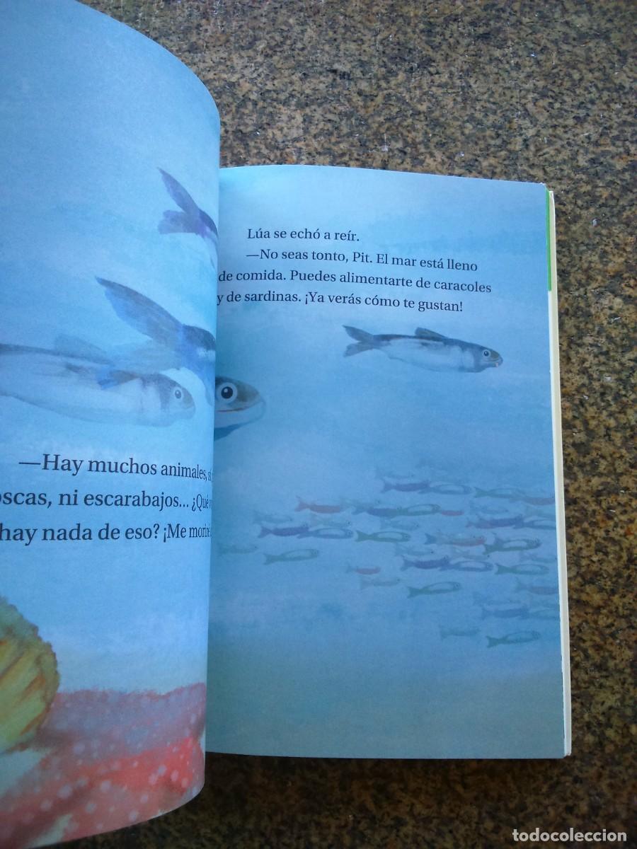 Libros de segunda mano: LA CANCIO DE LUA -- ANA ALONSO -- ANAYA -- - Foto 2