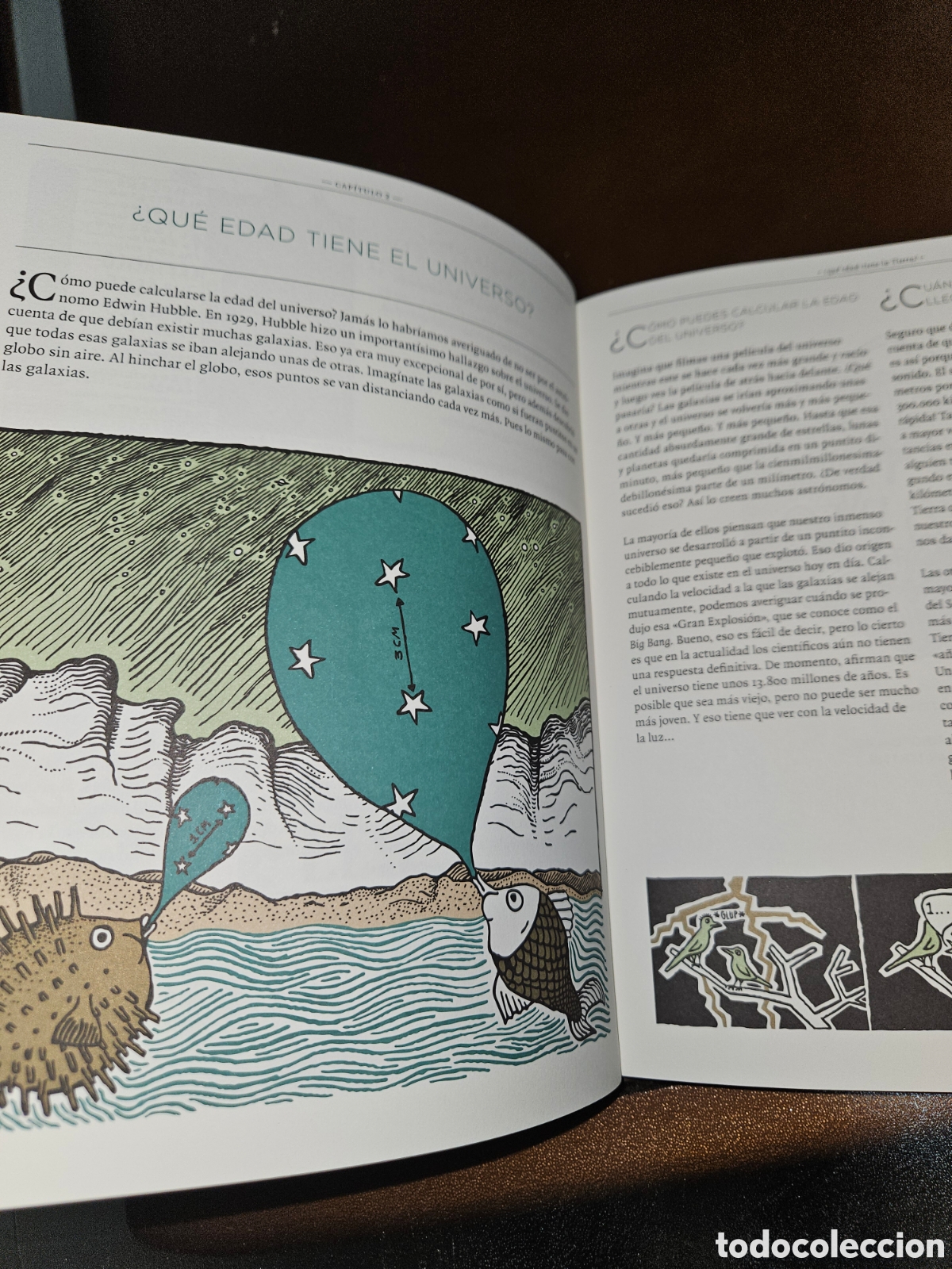 Libros de segunda mano: El misterio de la vida , incre&iacute;ble libro juvenil - Foto 4
