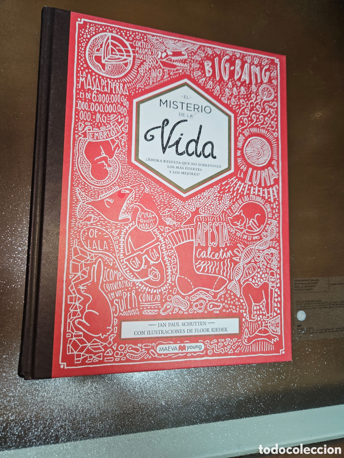Libros de segunda mano: El misterio de la vida , incre&iacute;ble libro juvenil - Foto 1