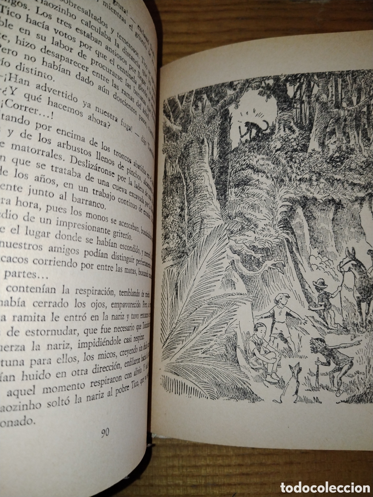 Libros de segunda mano: Cola negra. Francisco Mar&iacute;ns - Foto 5
