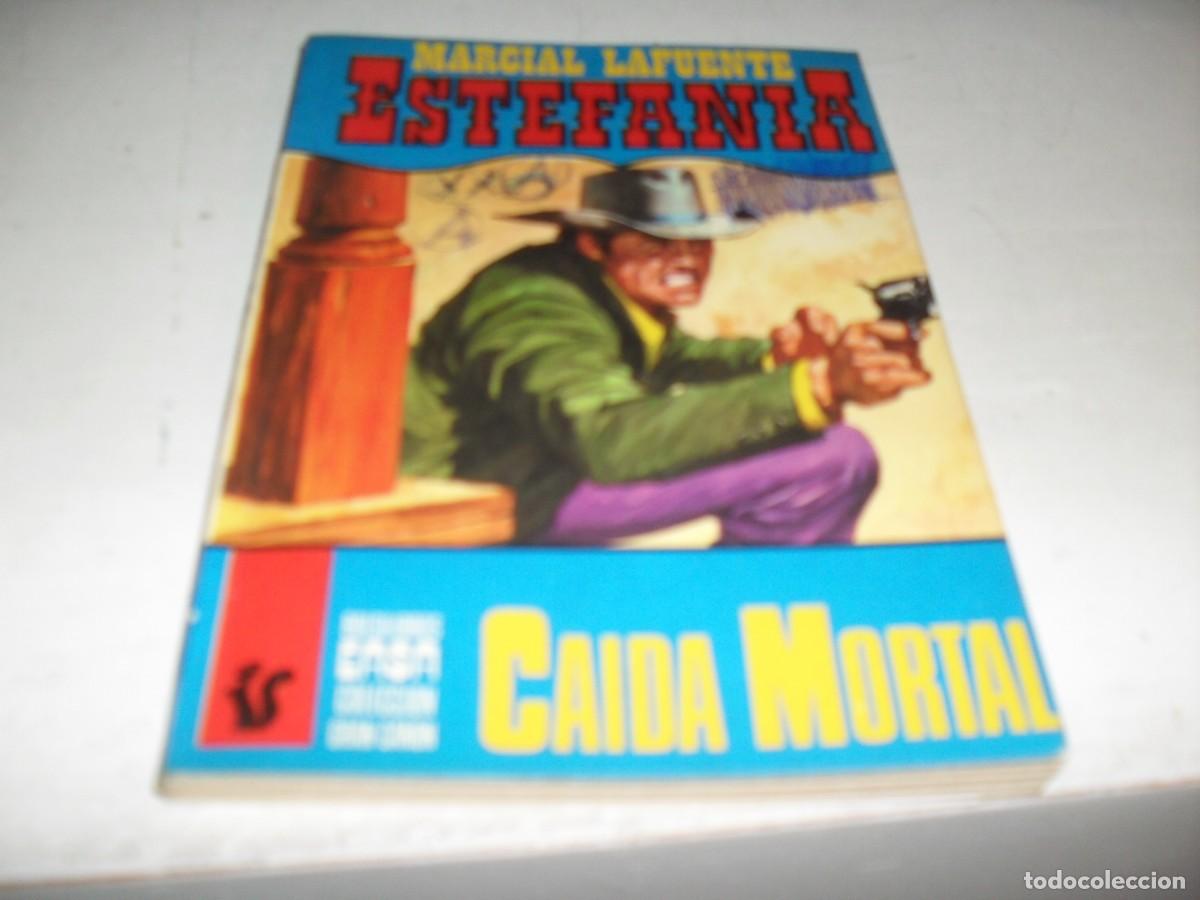 Libros de segunda mano: BOLSILIBRO GRAN CA&Ntilde;ON N&ordm; 83 CAIDA MORTAL,DE ESTEFANIA.ANDINA,A&Ntilde;OS 70