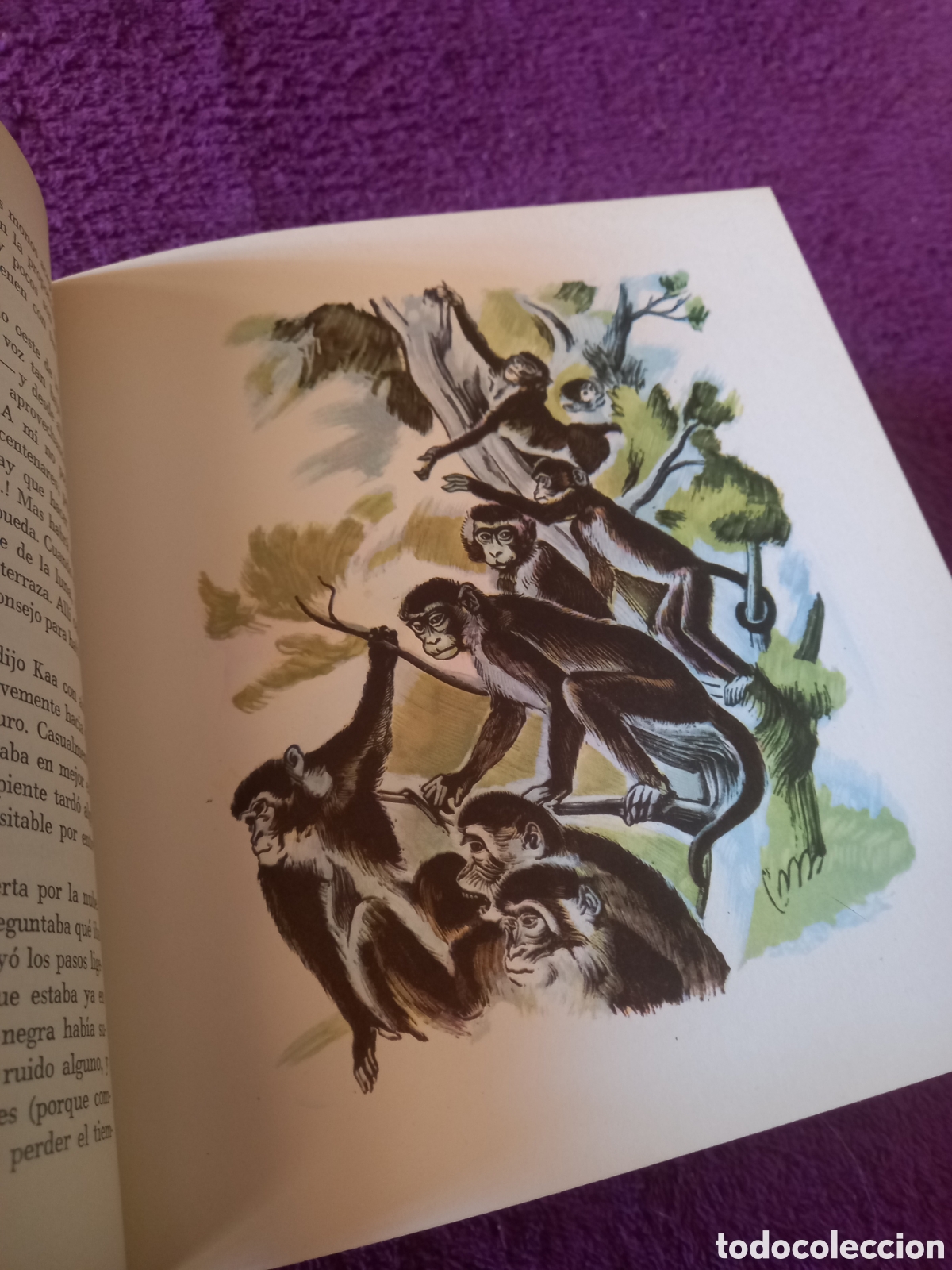 Libros de segunda mano: El libro de las tierras v&iacute;rgenes. Rudyard Kipling. - Foto 5