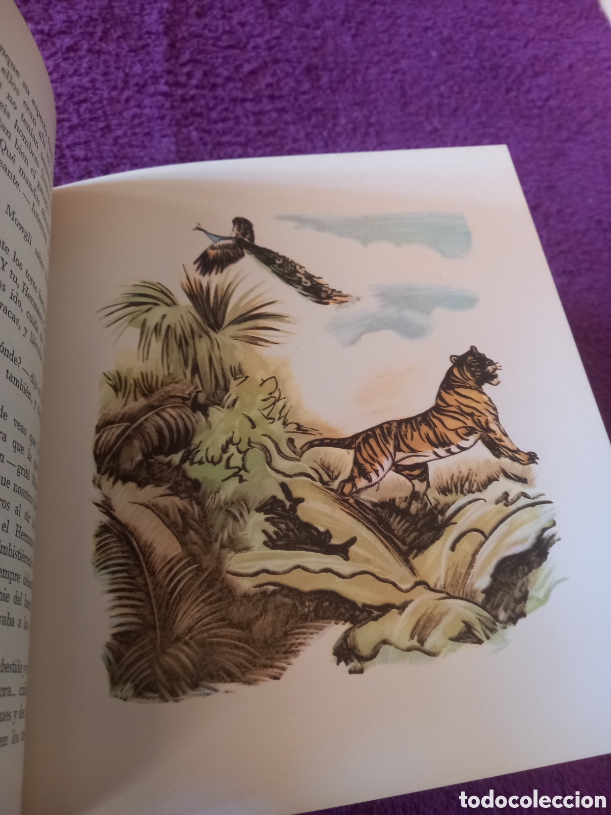 Libros de segunda mano: El libro de las tierras v&iacute;rgenes. Rudyard Kipling. - Foto 6