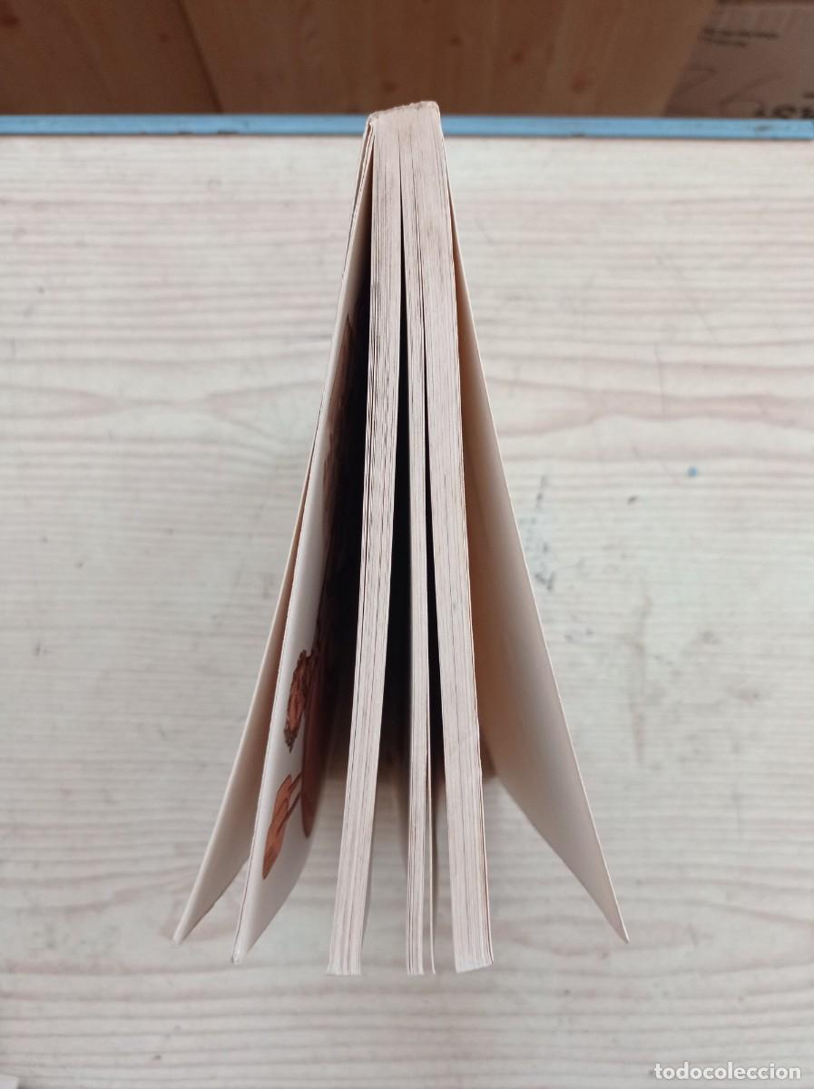 Libros de segunda mano: Tocon En El Renacimiento - 1974 - EDAF - Foto 6