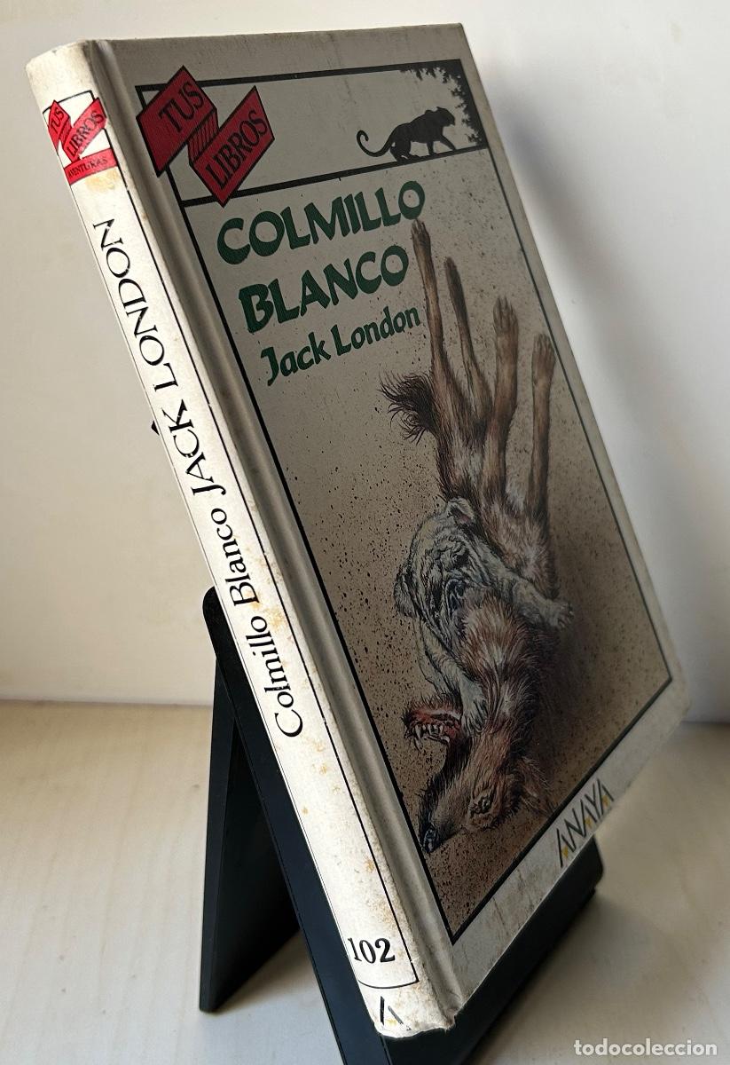 Libros de segunda mano: COLMILLO BLANCO. Jack London - Foto 3