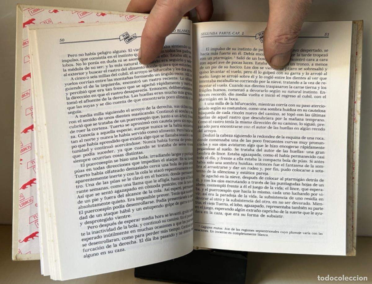 Libros de segunda mano: COLMILLO BLANCO. Jack London - Foto 5