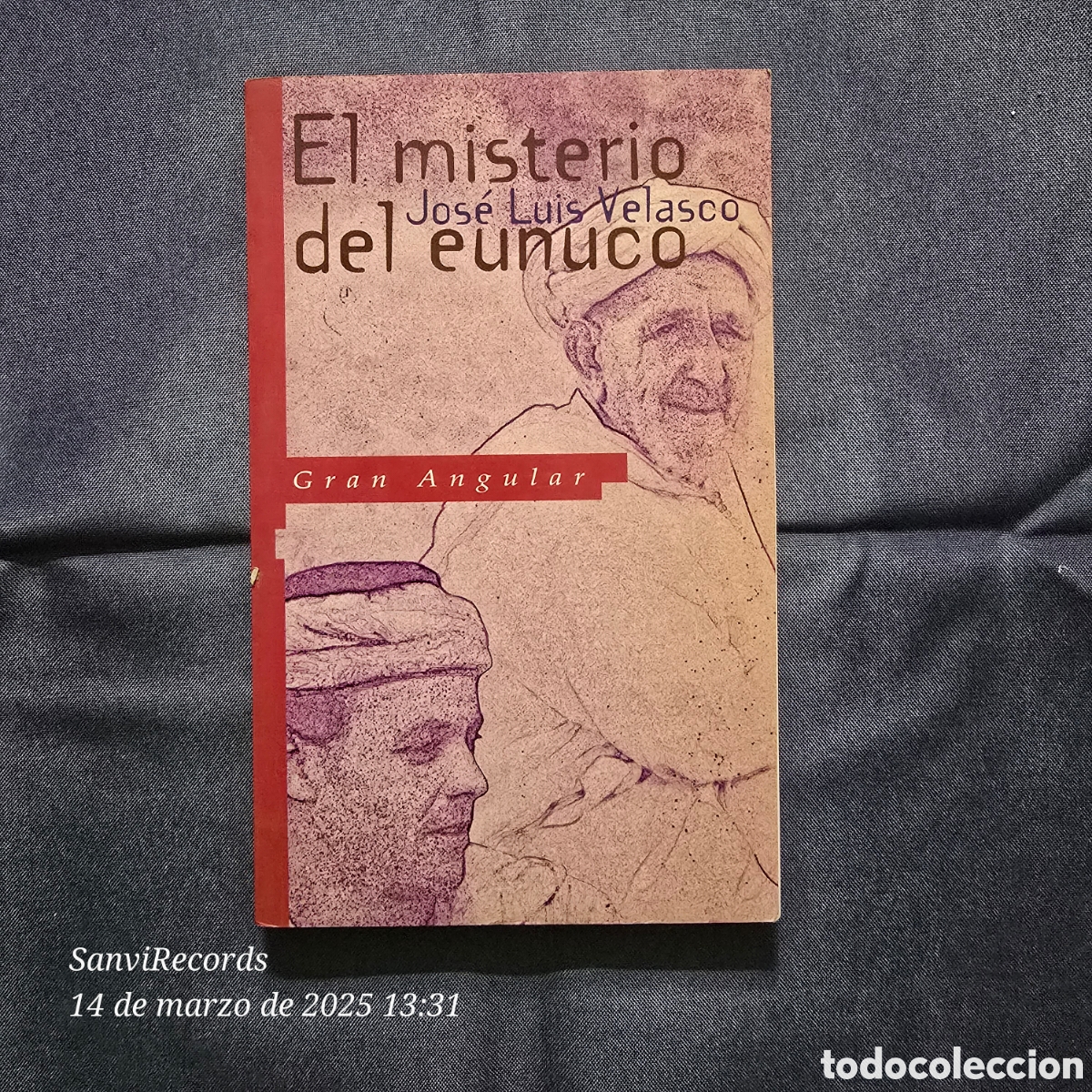 Libros de segunda mano: EL MISTERIO DEL EUNUCO (JOS&Eacute; LUIS VELASCO) (SM, GRAN ANGULAR) - Foto 1