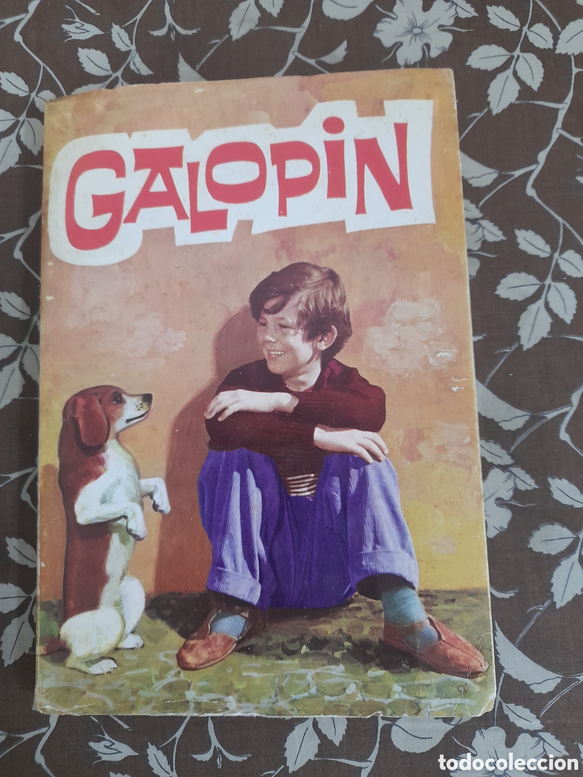 Libros de segunda mano: Galopin de Virginia Pagani de 1966