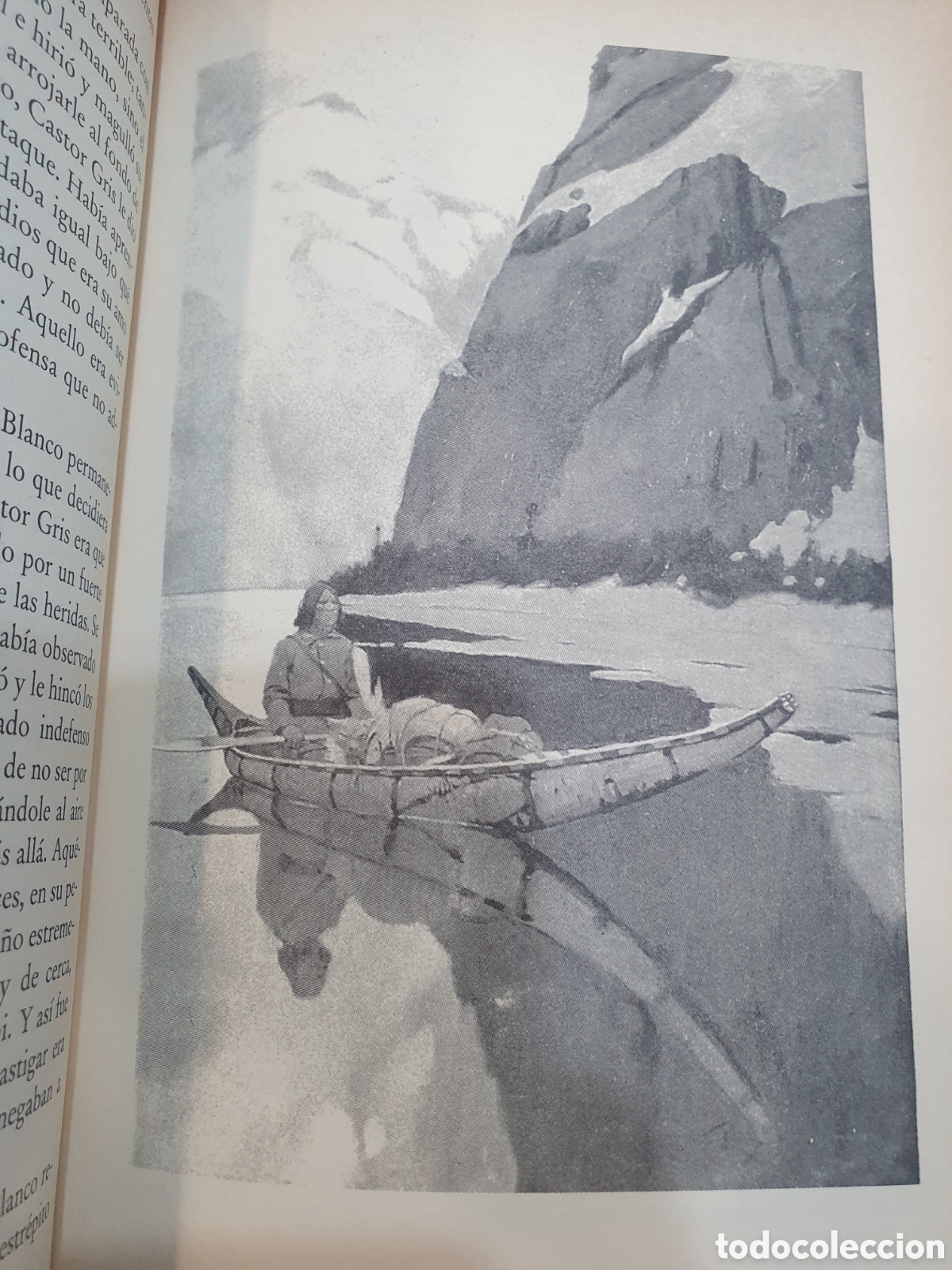 Libros de segunda mano: Colmillo blanco. Jack London. C&iacute;rculo de lectores - Foto 3