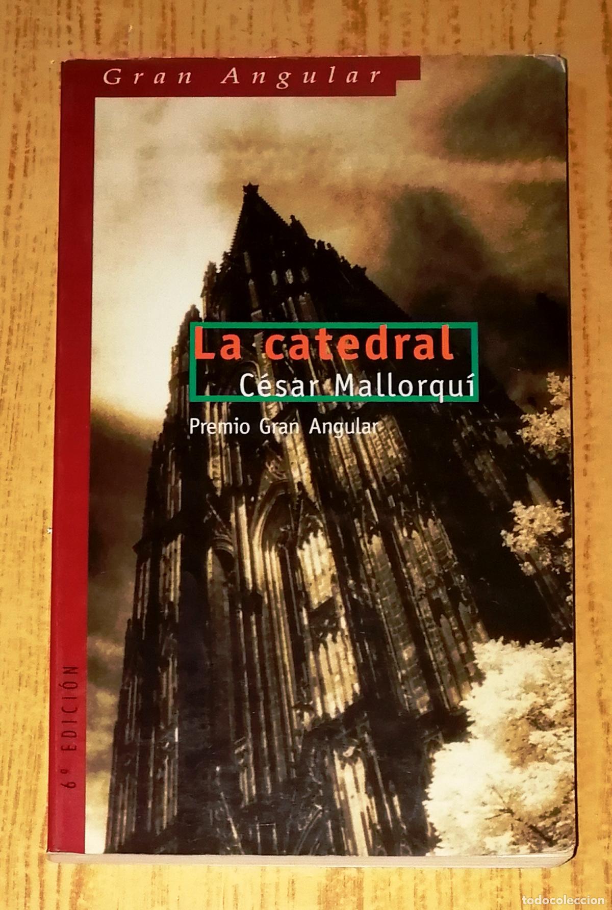Libros de segunda mano: LA CATEDRAL (Gran Angular ; 202) / C&eacute;sar Mallorqu&iacute;. - Ediciones SM, 2002 - Foto 1