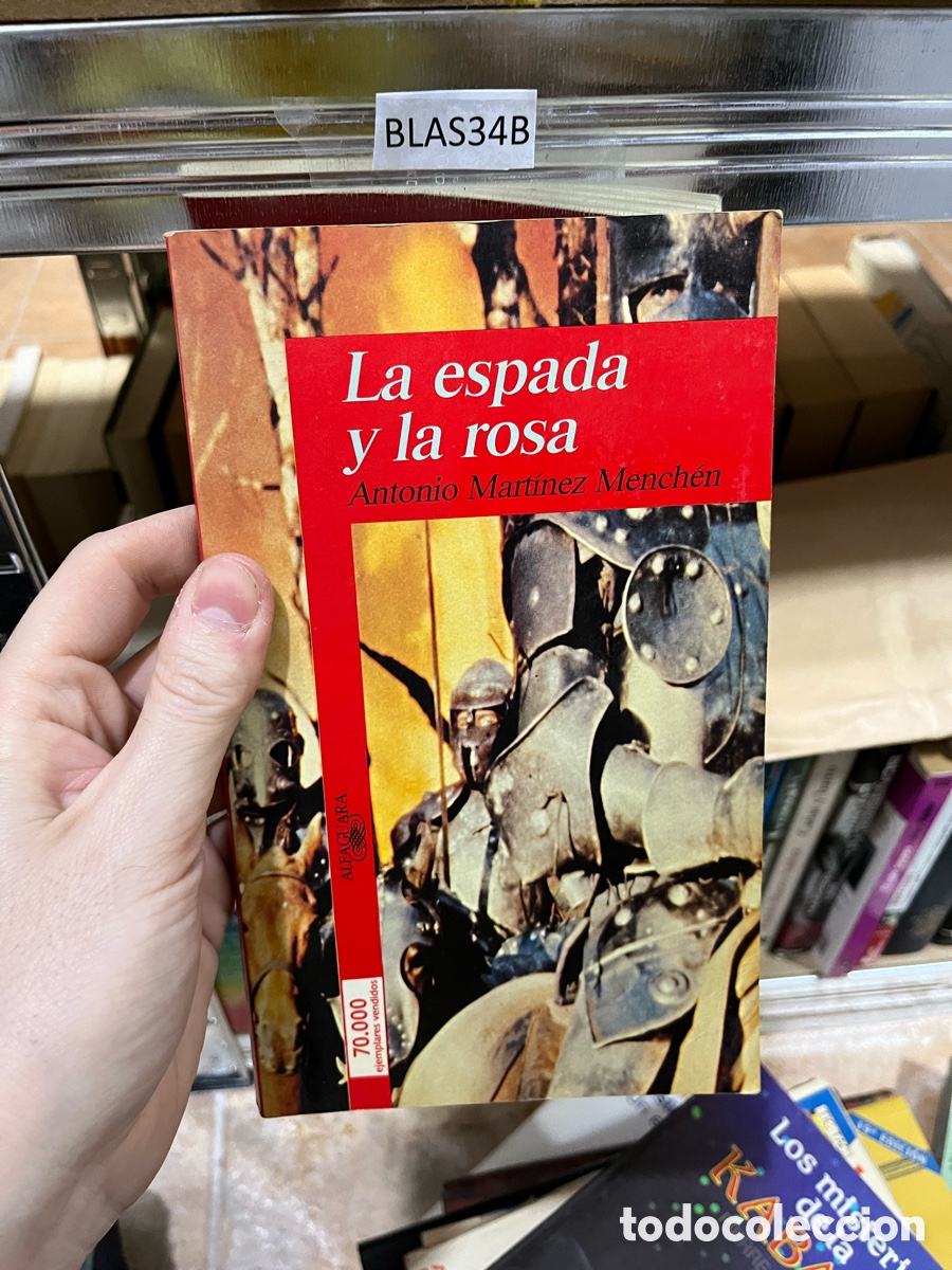 Libros de segunda mano: BLAS34B Los mister' de la KAB RAE La espada y la rosa Antonio Mart&iacute;nez Mench&eacute;n