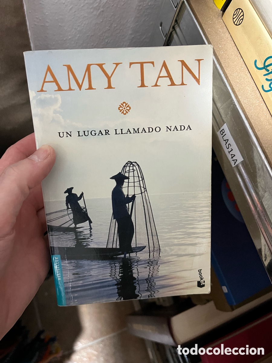 Libros de segunda mano: BLAS14A AMY TAN UN LUGAR LLAMADO NADA