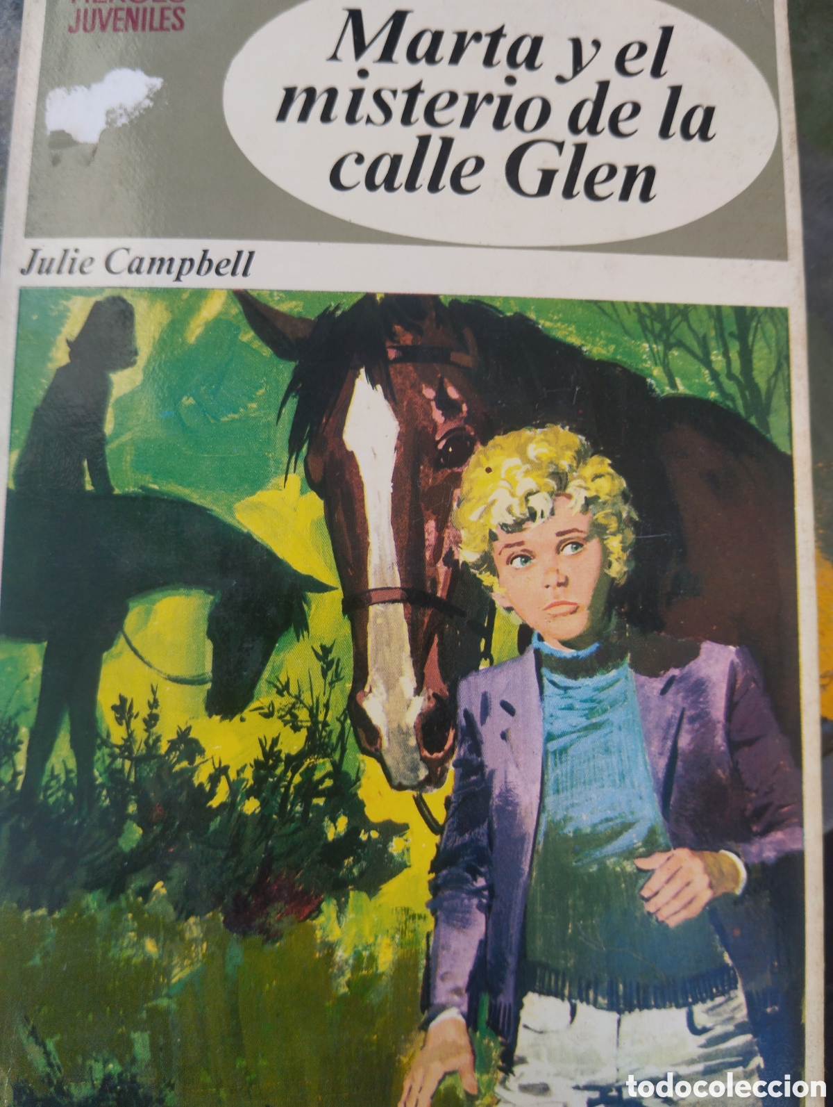 Libri di seconda mano: MARTA Y EL MISTERIO DE LA CALLE GLEN. COLECCI&Oacute;N H&Eacute;ROES JUVENILES. EDITORIAL BRUGI. PRIMERA EDICI&Oacute;N A