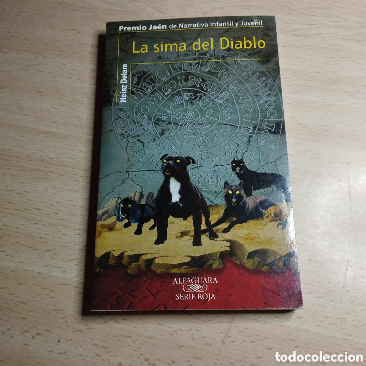 Gebrauchte B&uuml;cher: La Sima del Diablo. Heinz Delam. 2002. Alfaguara serie roja. Caja Granada