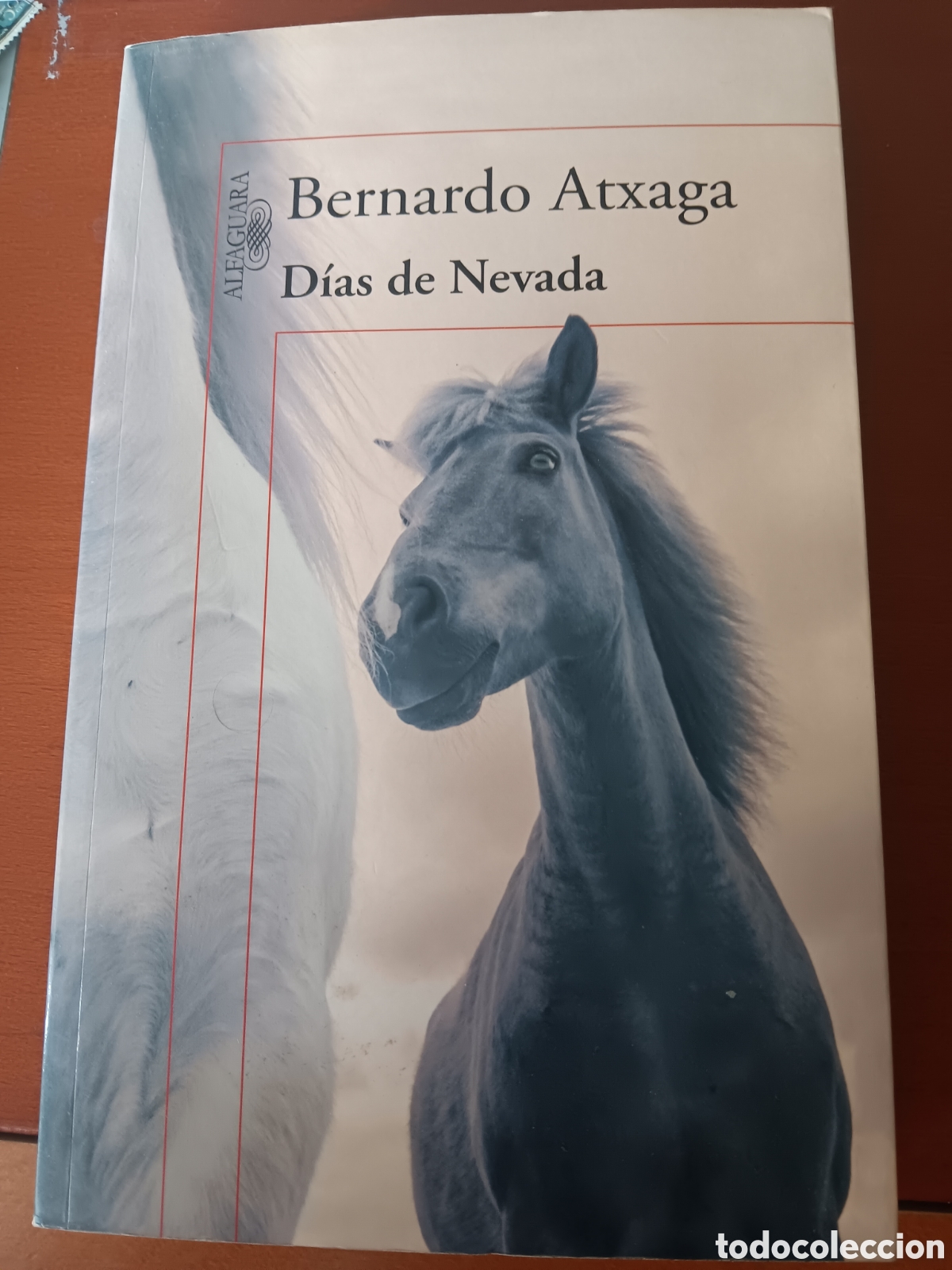 Libri di seconda mano: D&iacute;as de nevada de Bernardo Atxaga