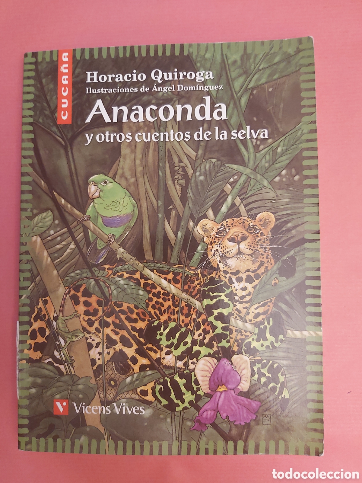 Gebrauchte B&uuml;cher: ANACONDA Y OTROS CUENTOS DE LA SELVA HORACIO QUIROGA VICENS VIVES CON ILUSTRACIONES 2007 CUCA&Ntilde;A