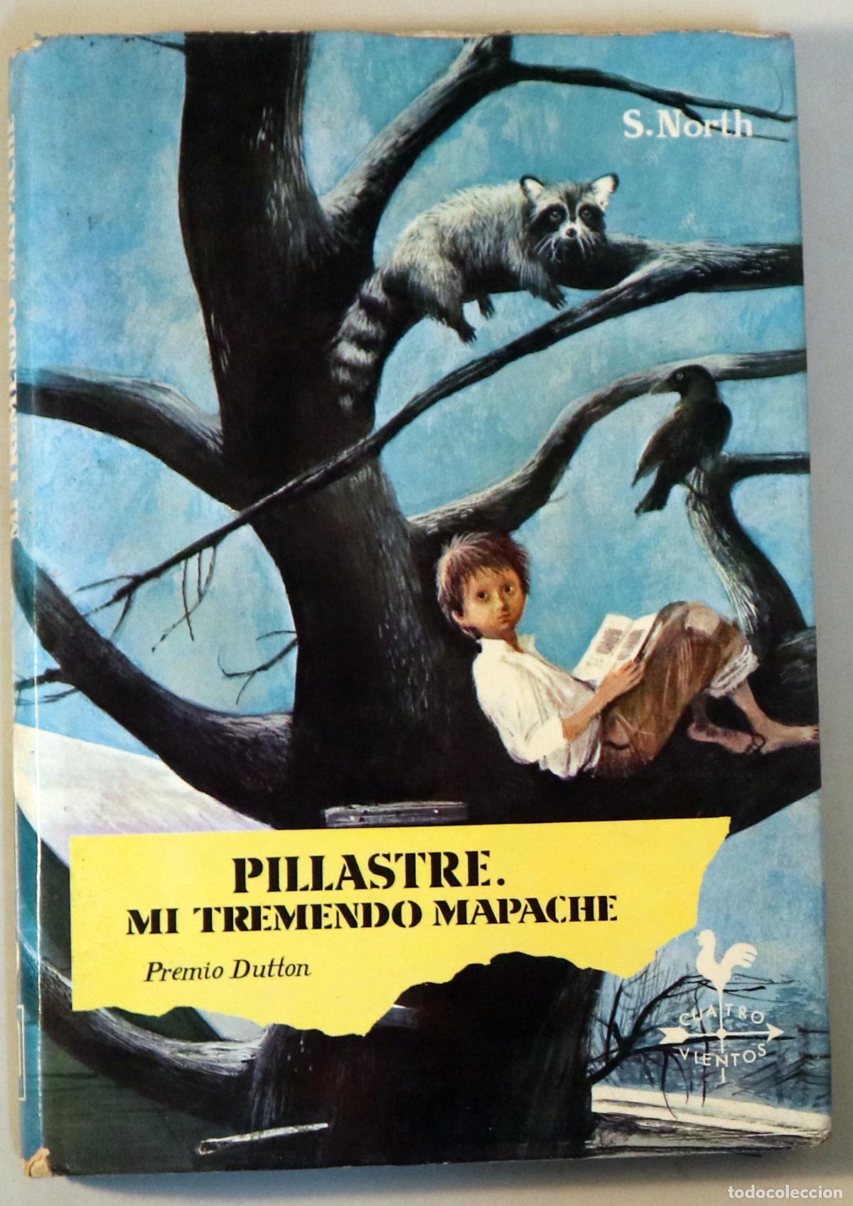 Gebrauchte B&uuml;cher: NORTH, S. - PILLASTRE. MI TREMENDO MAPACHE - Barcelona-Madrid 1966 - Ilustrado